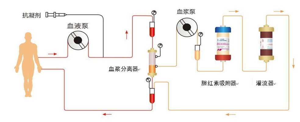 iPhone 17全系颜色曝光；全新小鹏P7官图发布；苹果推出iOS 186正式版